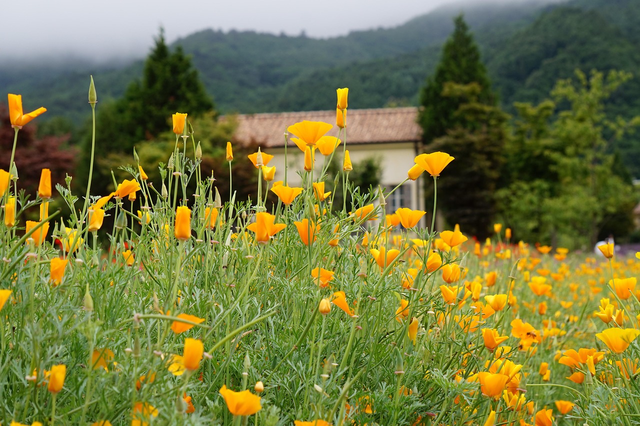 http攻击|服装代理 兼职平台