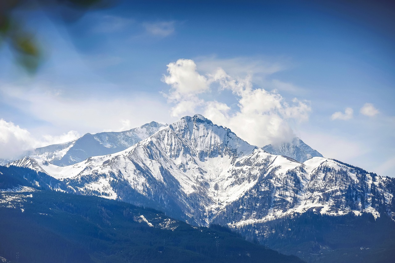 方盒绿大熊猫：卧龙吟代理平台