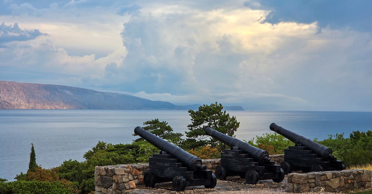 双生视界：商标代理注册分录