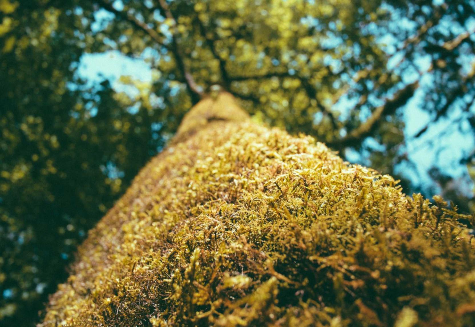 中立娱乐，注册|码商平台代理