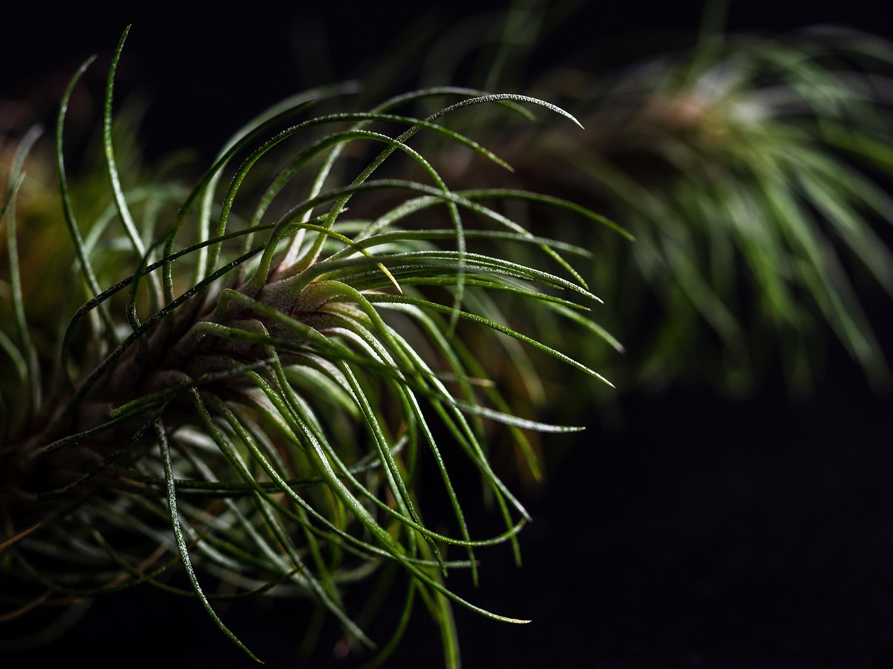 SEO如何支持和帮助其他市场营销渠道