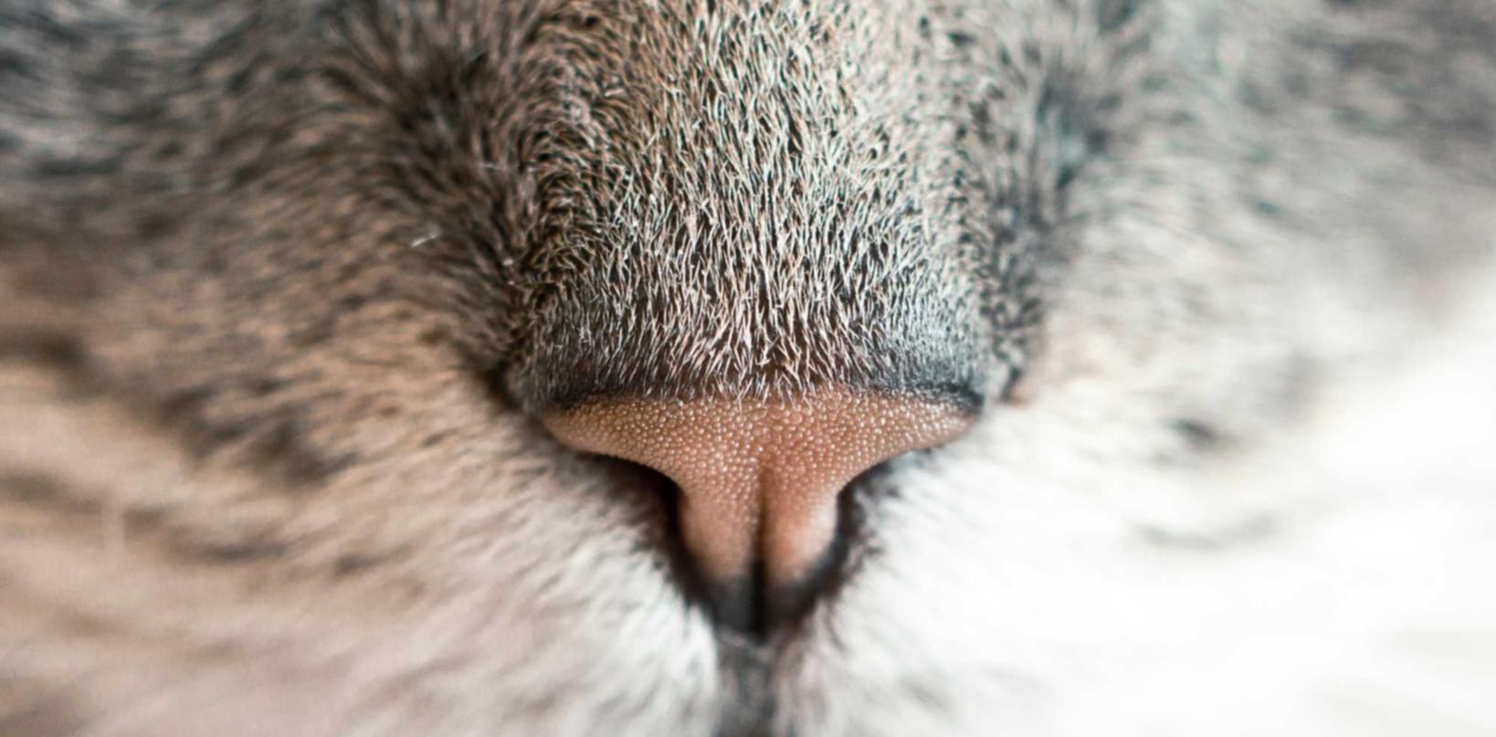 小红书实名账号：浙里阅注册账号