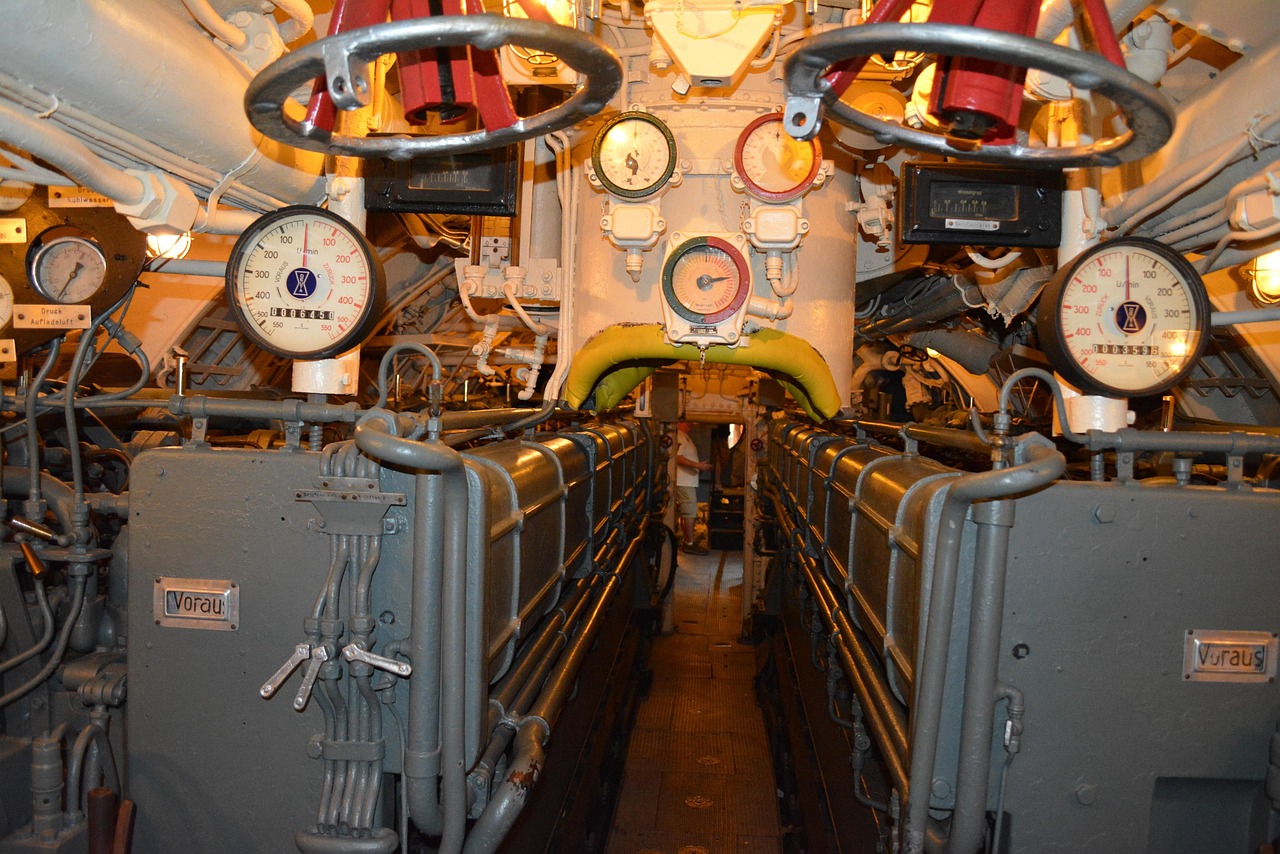 缅甸云斯顿蓝莓爆珠：沈阳浑南代理记账注册要求