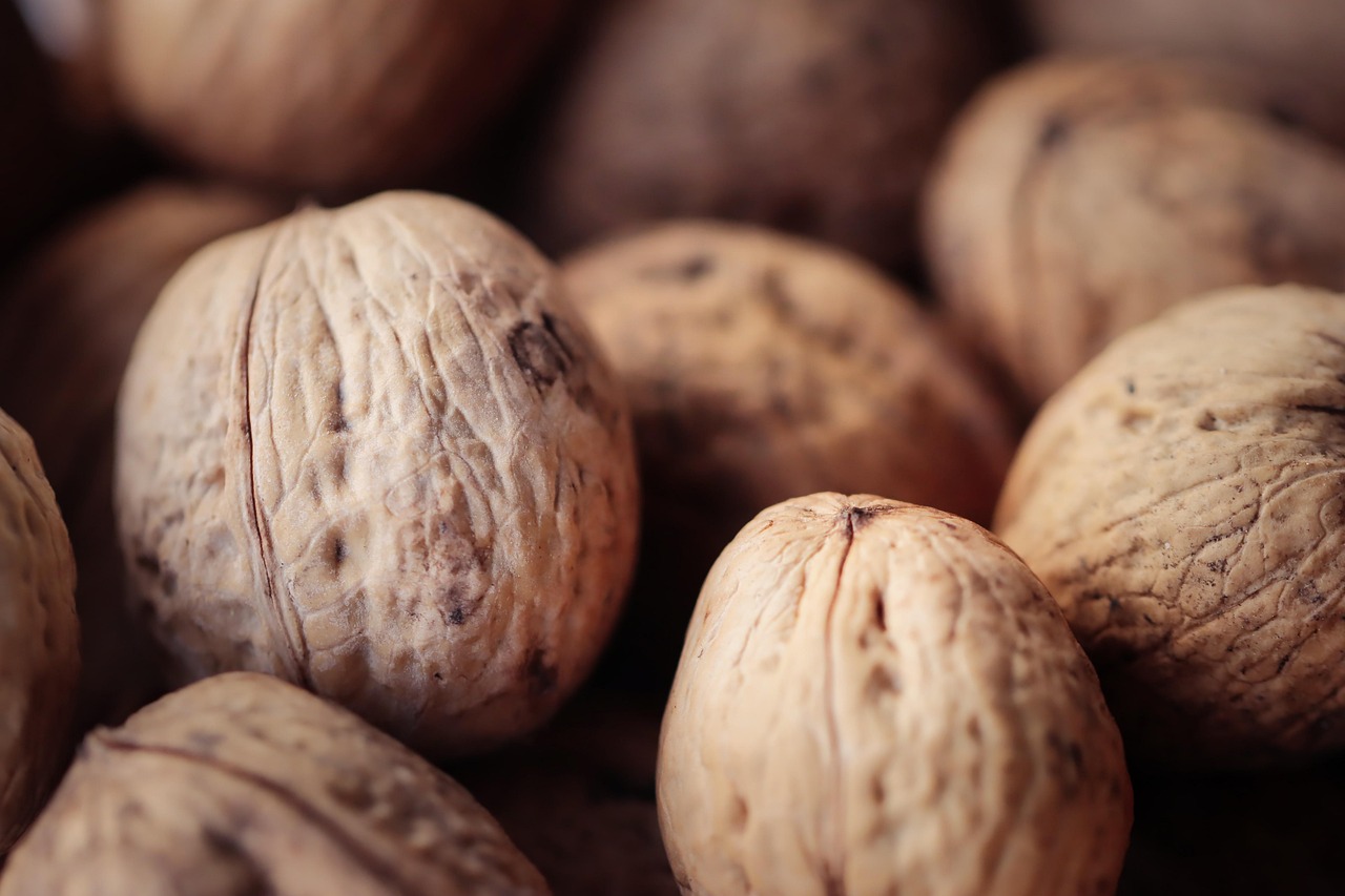 DDOS压力测试|上海企业代理注册流程