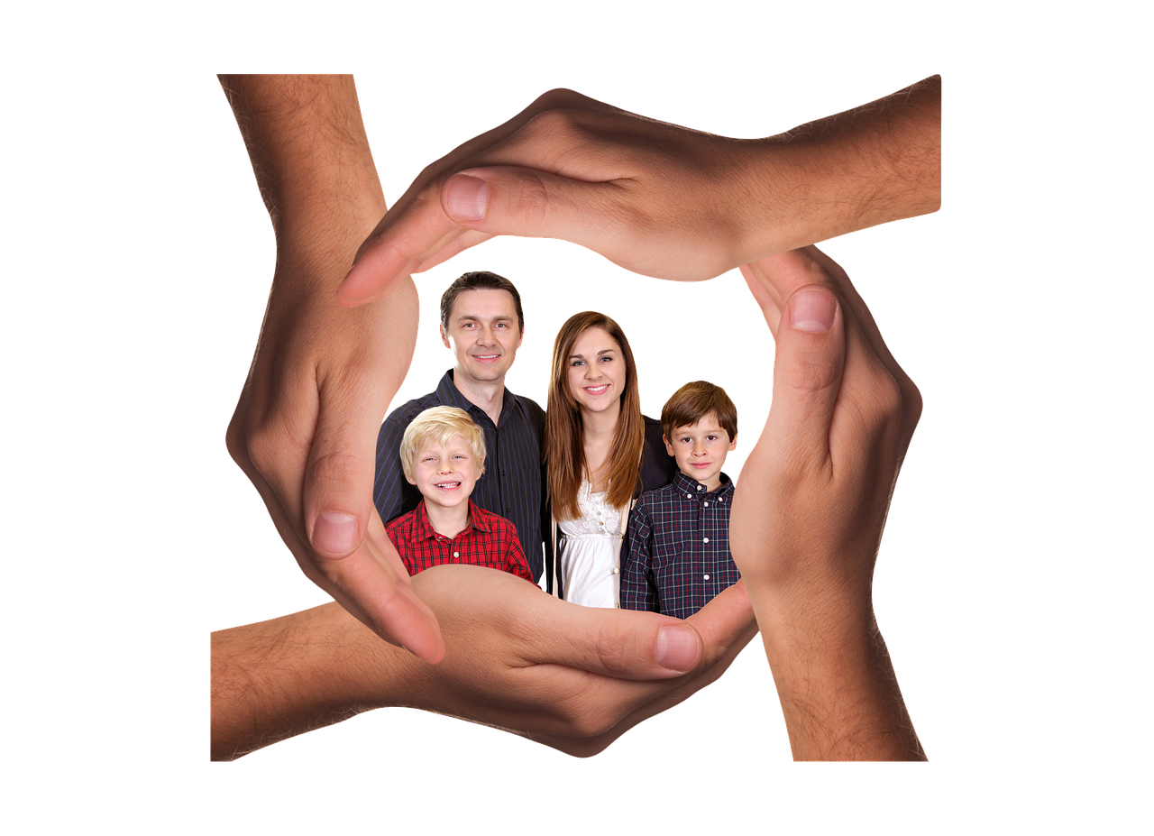 Bohem宝恒树叶3+17爆珠（混合）：铜陵代理招聘平台