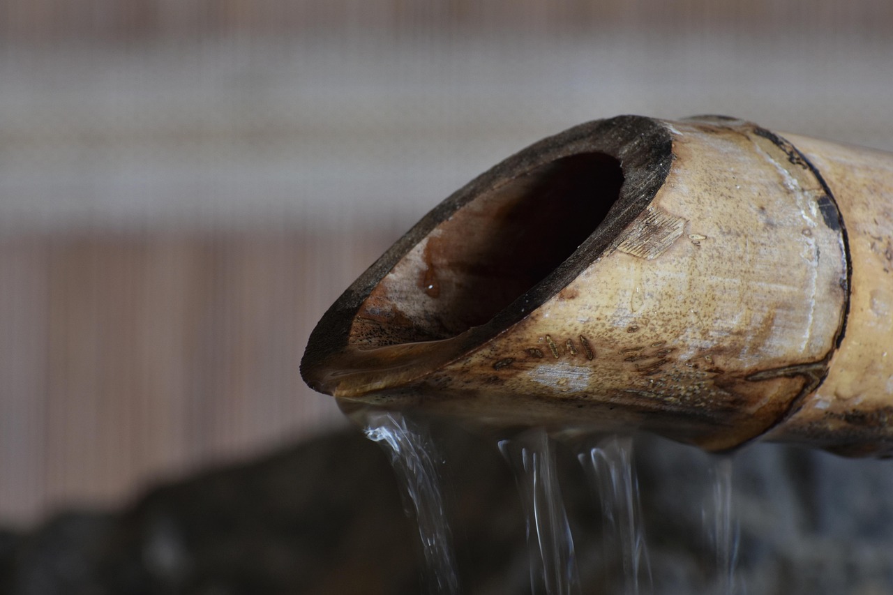 中国移动实名账号:同花顺开户平台