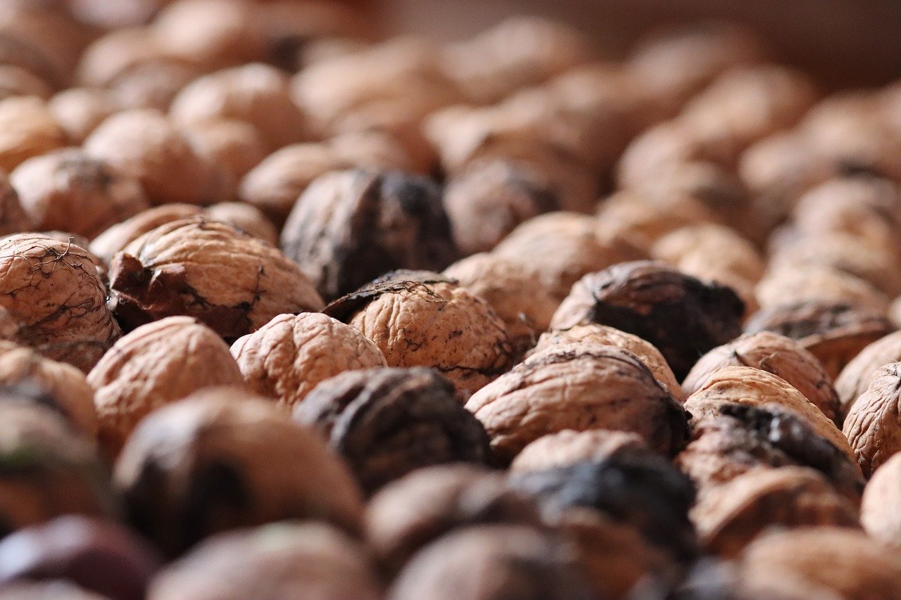 方盒欧盟扁白555：浦东新区代理外资公司注册