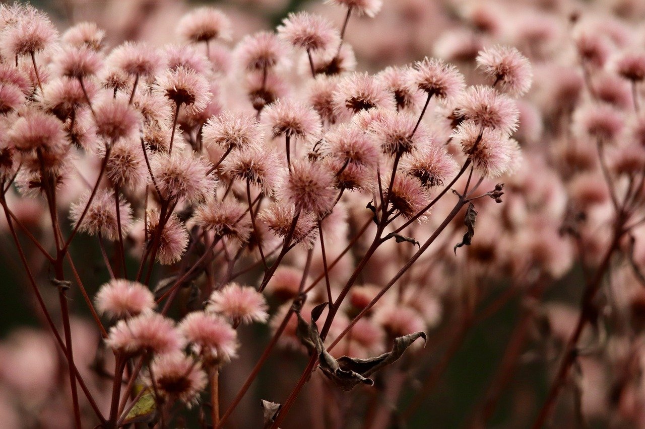 在线DDOS平台攻击|现货黄金可靠平台代理