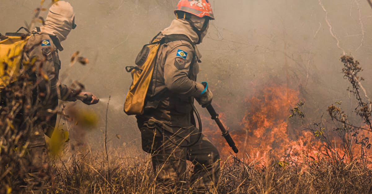 蜂巢互联实名账号:上海注册代理机构