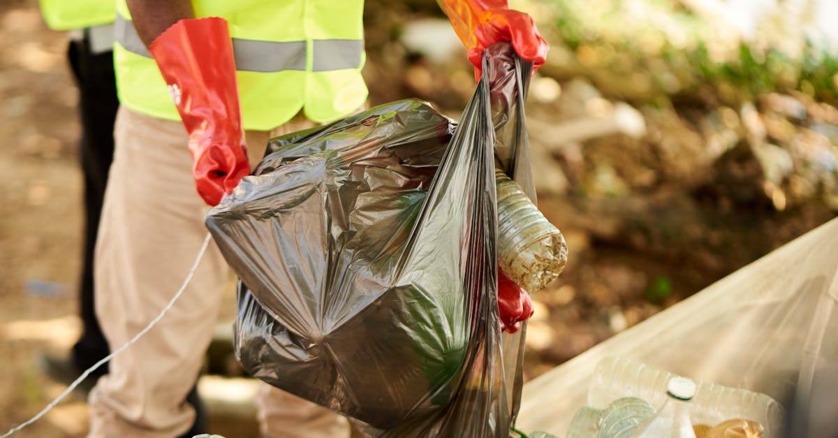 飞网ip实名账号:曲靖代理记账平台