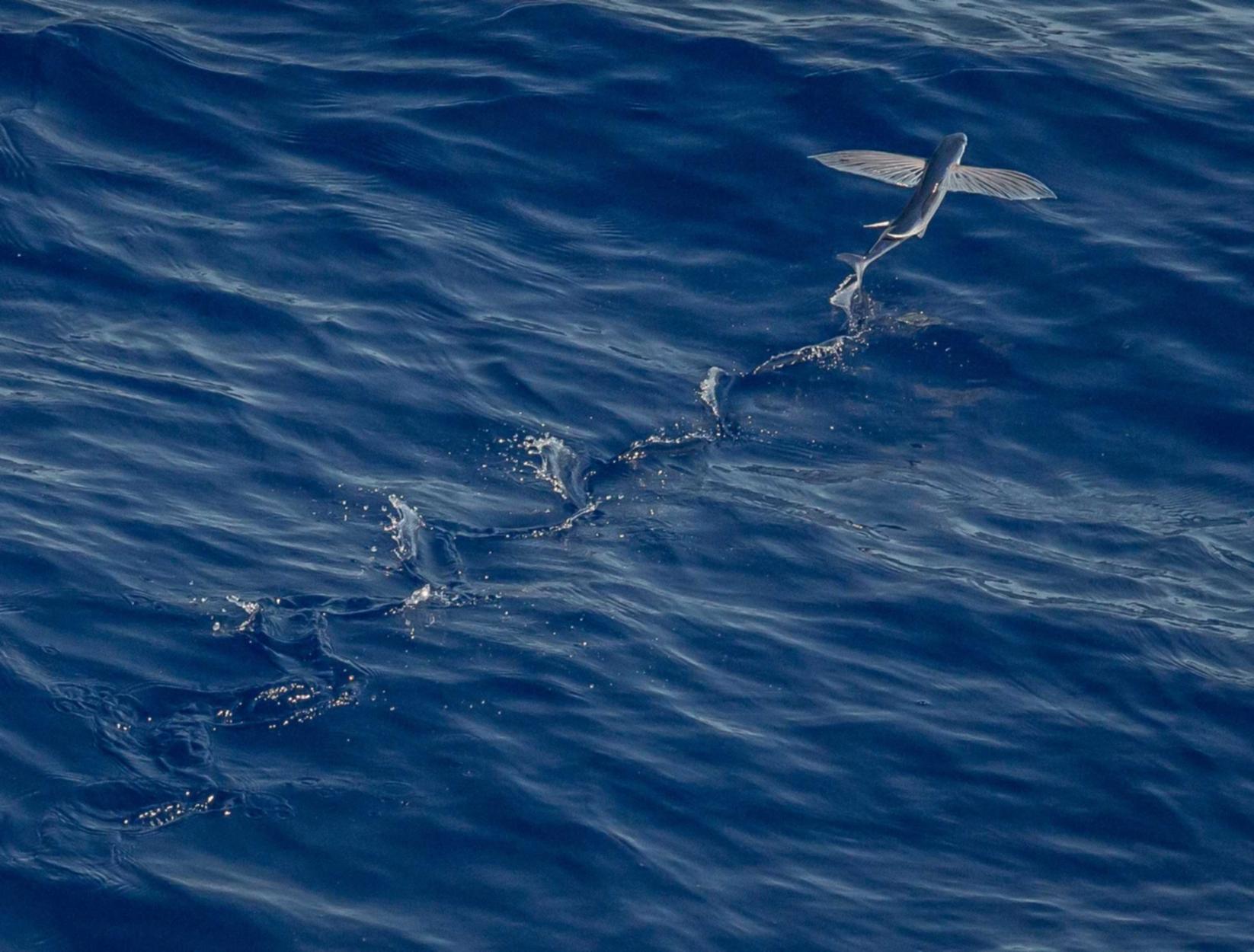 伊对实名账号：qq账号如何注册腾讯会员